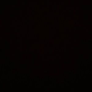 Meet your Posher, Dylan